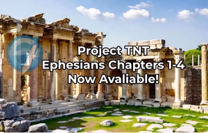 A wide view of the restored Library of Celsus in Ephesus, Turkey, showing its grand two-story marble façade with ornate columns, statues, and arches under a bright blue sky. Scattered ancient ruins and columns lie in the foreground, with green hills and cypress trees in the background.